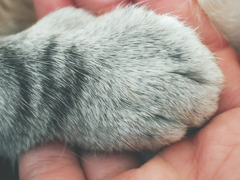 End of Life Services