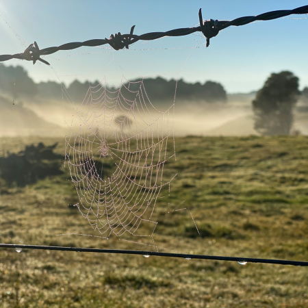 Dairy Update April 2025