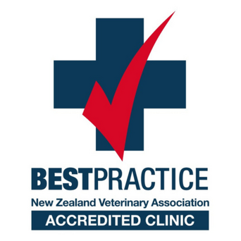 Best Practice Accreditation