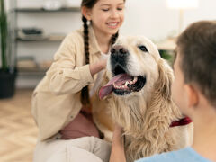 Children Petting Golden Retriever