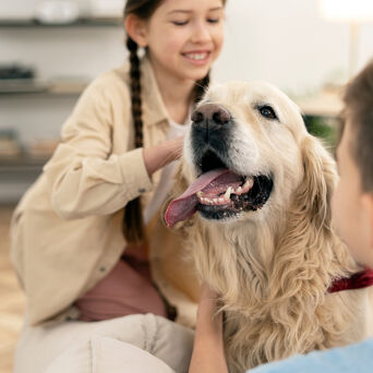 Children Petting Golden Retriever