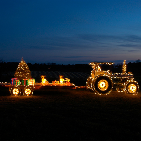 Christmas Newsletter 2025