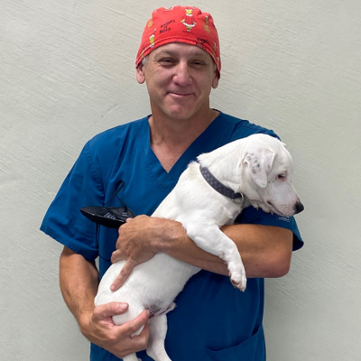 Dr Bryan Hughes BVSc