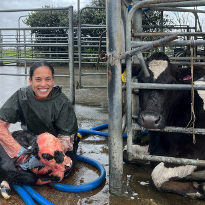 Dr Claudia Knill BVSc