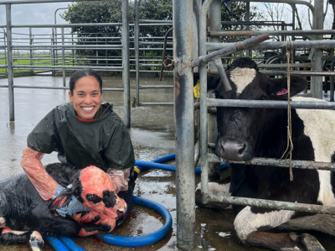 Dr Claudia Knill BVSc