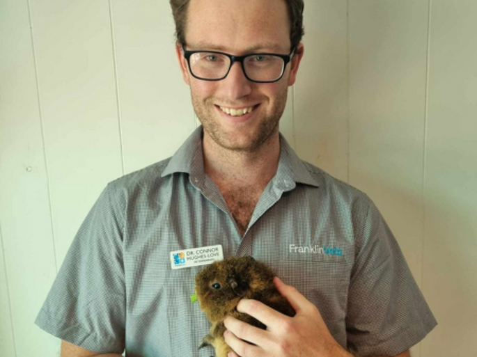 Dr Connor Hughes-Love BVSc (Dist.)