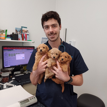 Dr Daniel Stoddart Biomedical Science BSc (Hons) BVSc (Hons)