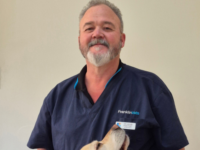 Dr Henri Mostert BVSc