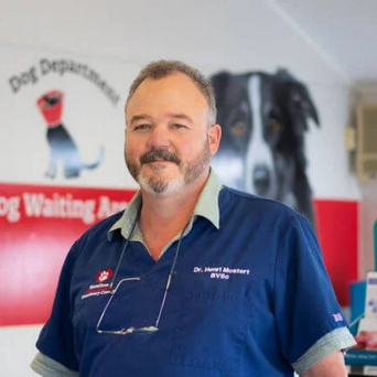 Dr Henri Mostert BVSc