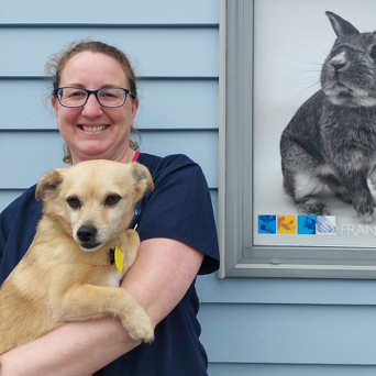 Dr Julie Whitehead BVSc