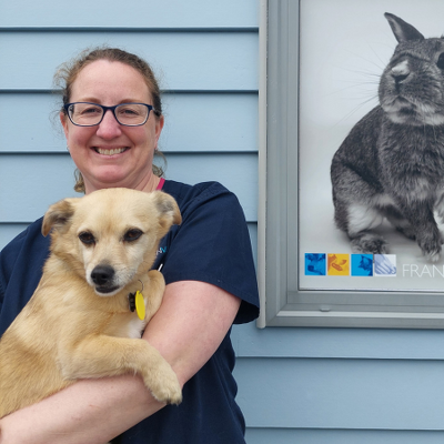 Dr Julie Whitehead BVSc