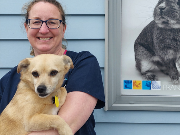 Dr Julie Whitehead BVSc