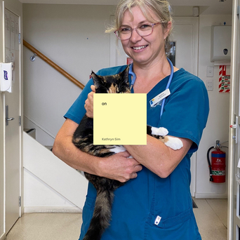 Dr Katherine Johnson BVSc