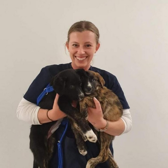 Dr Katie Meadows BVSc