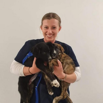 Dr Katie Meadows BVSc