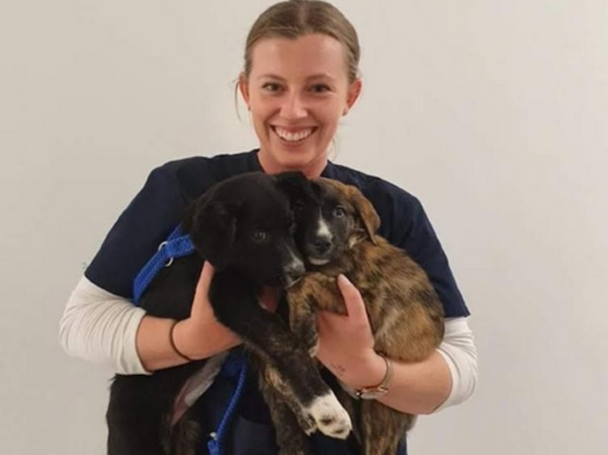 Dr Katie Meadows BVSc