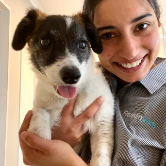 Dr Kayomi Patrawala BVSc