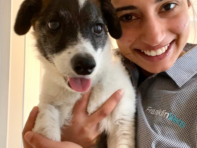 Dr Kayomi Patrawala BVSc 