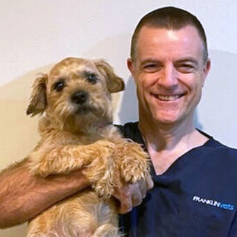 Dr Paul Eason BVM&S MANZCVS (Surgery, Emergency & Critical Care Medicine)