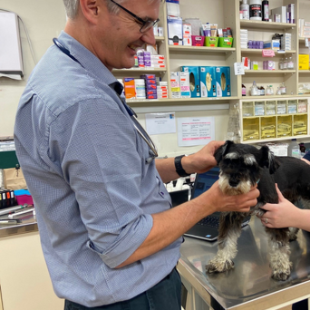 Dr Phil Macleod BVSc MANZCVS (Small Animal Medicine)