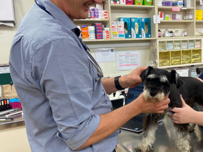 Dr Phil Macleod BVSc MANZCVS (Small Animal Medicine)