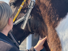 Preventative Healthcare