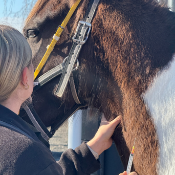 Preventative Healthcare