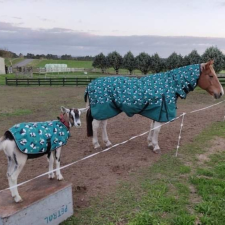 Winter checklist heading into shorter days