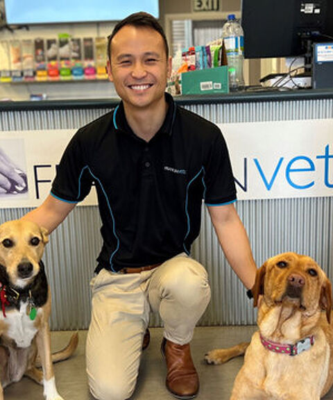 Franklin Vet With 2 Dogs