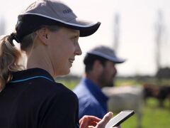 Franklin Vets Shareholding Pathway