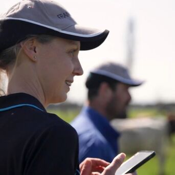 Franklin Vets Shareholding Pathway