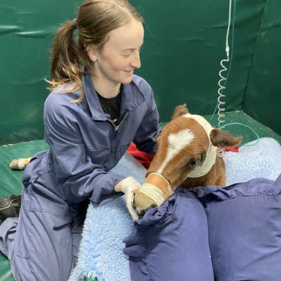 Dr Georgina Llewellyn