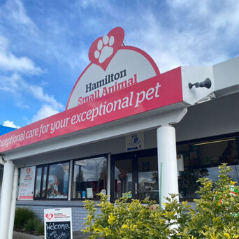 Hamilton Small Animal Veterinary Centre