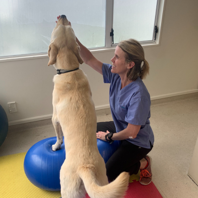 Dr Karli Houston BVSc