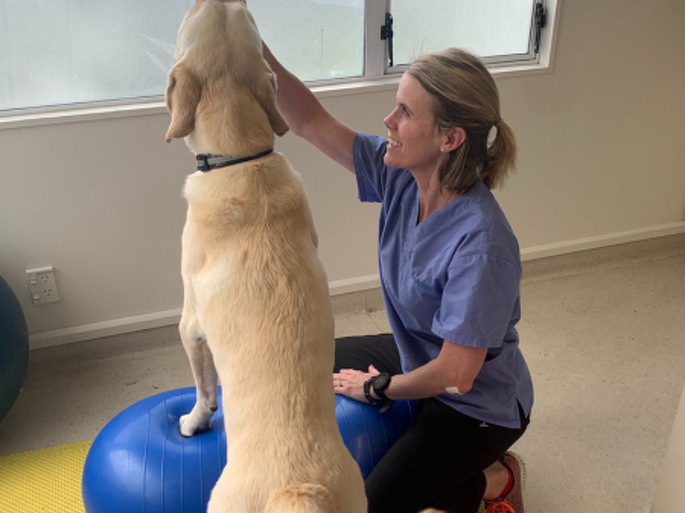 Dr Karli Houston BVSc