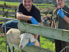 Annual Healthcare Packages