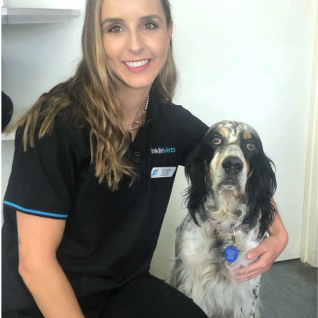 Pet Newsletter Feb 2025