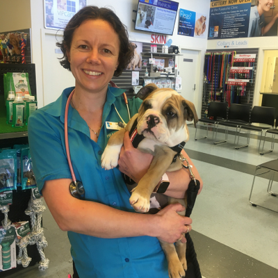 Dr Nikki Frost BSc BVSc MANZCVS (Medicine of Cats)