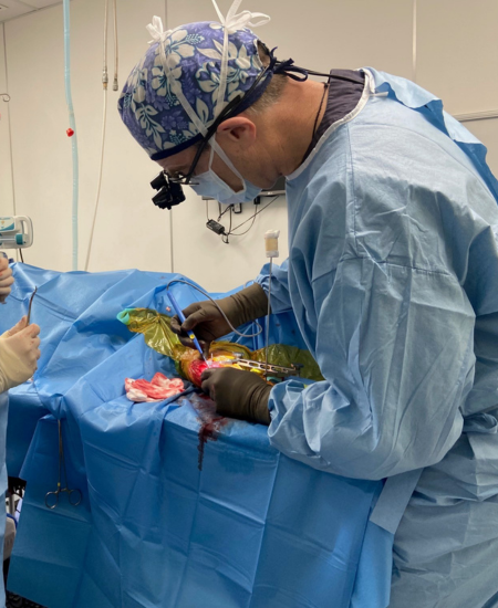 Cruciate Ligament Injury