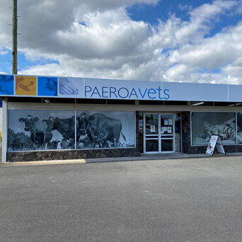 Paeroa Clinic