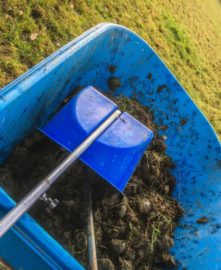 Equine Parasite Control: The Role of Faecal Egg Counts (FEC)