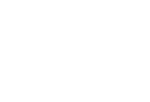 Silver Cat Friendly Clinic Logo White