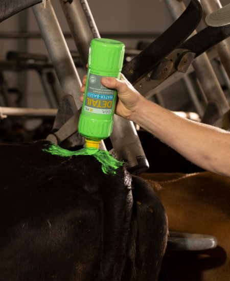 Mating Update Sept 2025