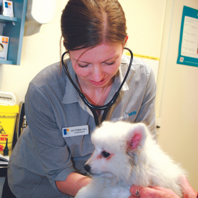 Dr Victoria Hill BVSc