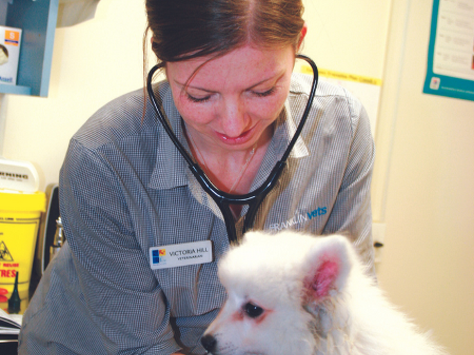 Dr Victoria Hill BVSc