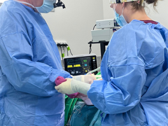 Veterinary Refrral Services (VRS)