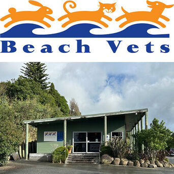 Waihi Beach Vets
