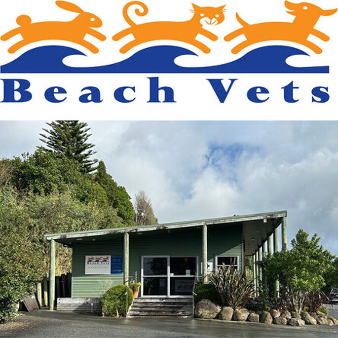 Waihi Beach Vets
