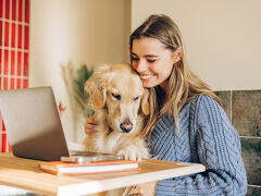 Woman Working From Home With Golden Retriever